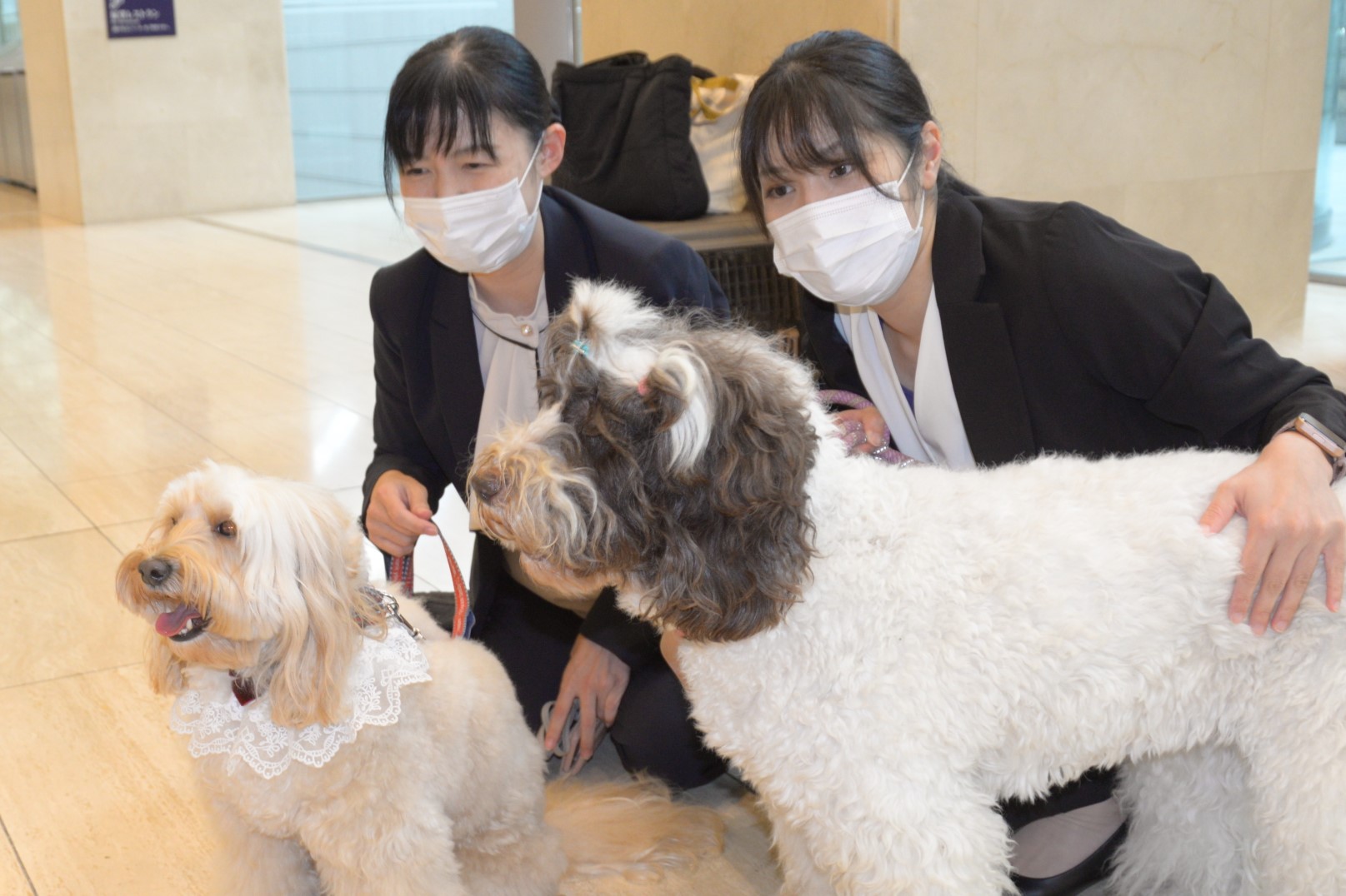 ニチイホーム秋の音楽祭2024 セラピー犬