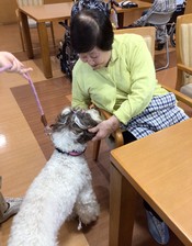 セラピー犬とのふれあい ニチイホーム板橋徳丸1