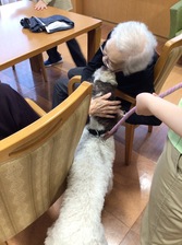 セラピー犬とのふれあい ニチイホーム板橋徳丸2