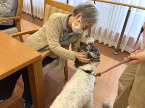 セラピー犬とのふれあい ニチイホーム板橋徳丸5