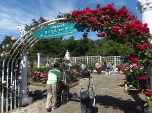 生田緑地ばら園　ニチイホーム青葉台