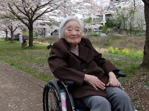 ニチイホームセンター北　お花見