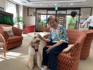 セラピー犬ワフト　ニチイホームはるひ野Ⅱ番館