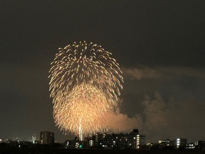 花火　ニチイホーム稲城