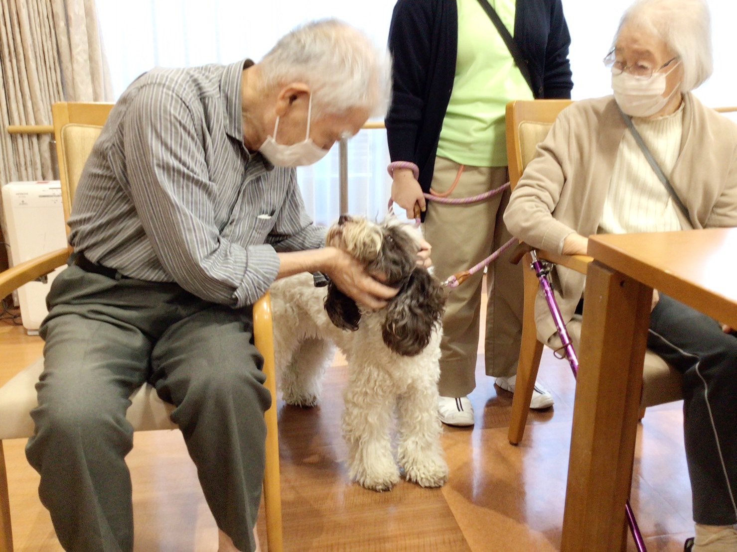 セラピー犬とのふれあい-2　ニチイホーム板橋徳丸