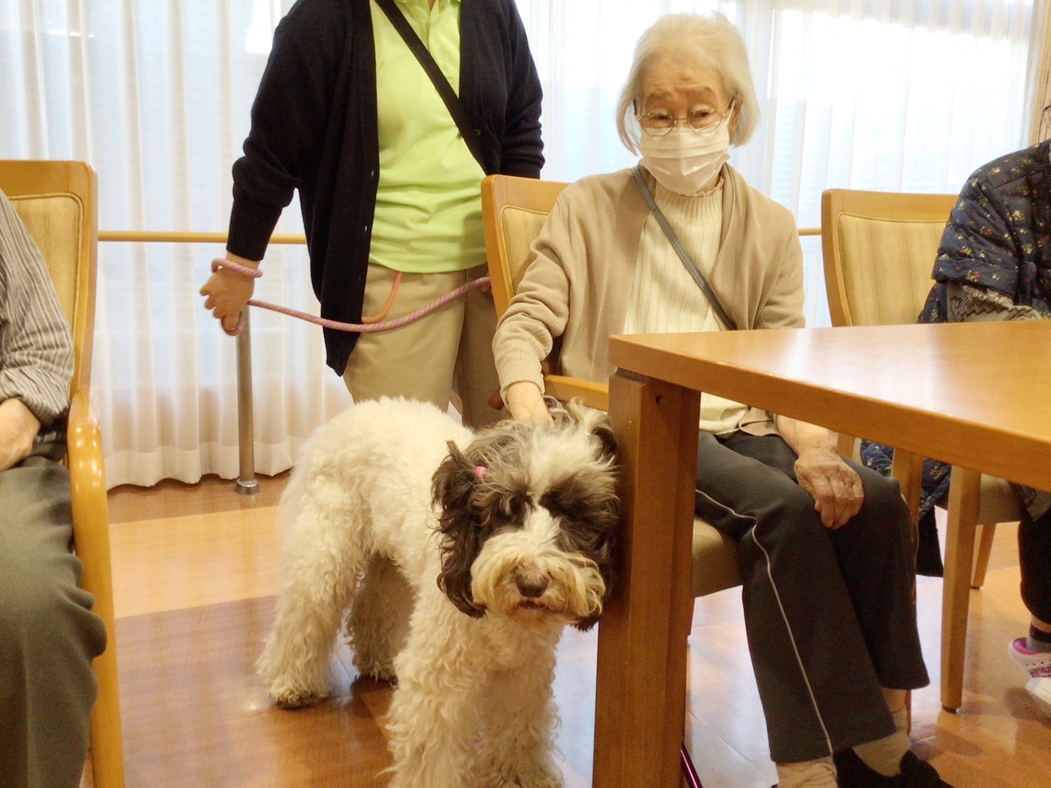 セラピー犬とのふれあい-3　ニチイホーム板橋徳丸