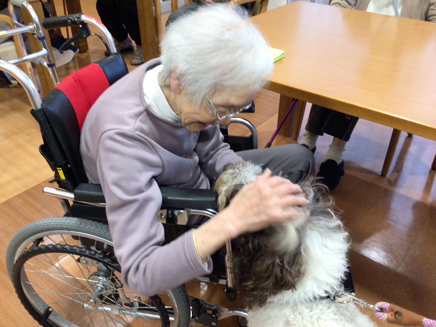 セラピー犬とのふれあい-4　ニチイホーム板橋徳丸