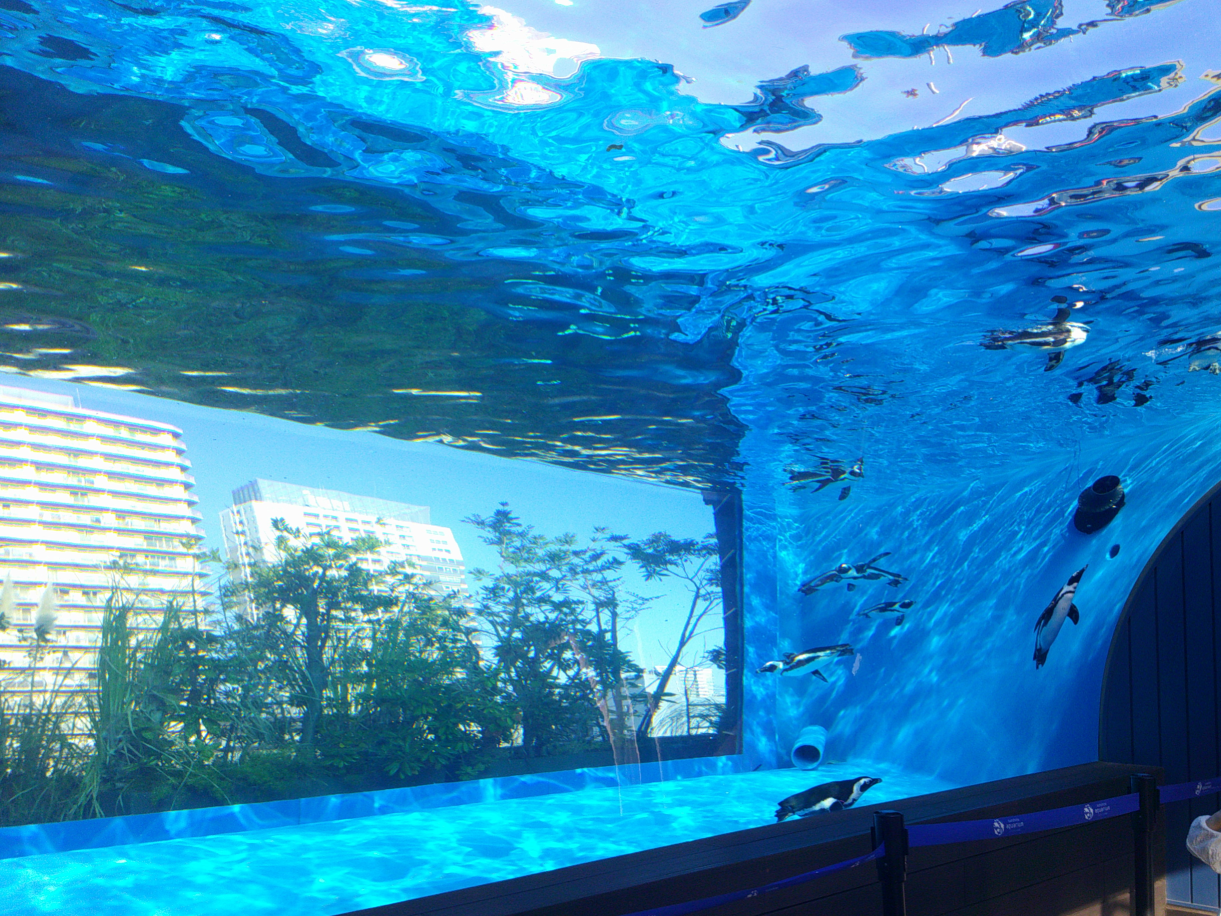 池袋の水族館へ-6　ニチイホーム大宮