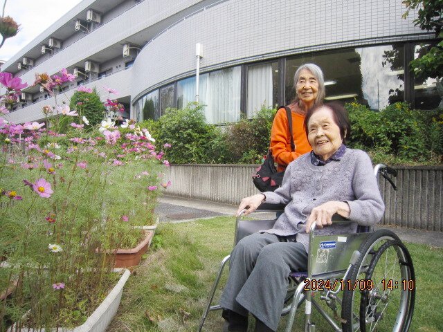 秋晴の秋桜観賞会-6　ニチイホーム王禅寺