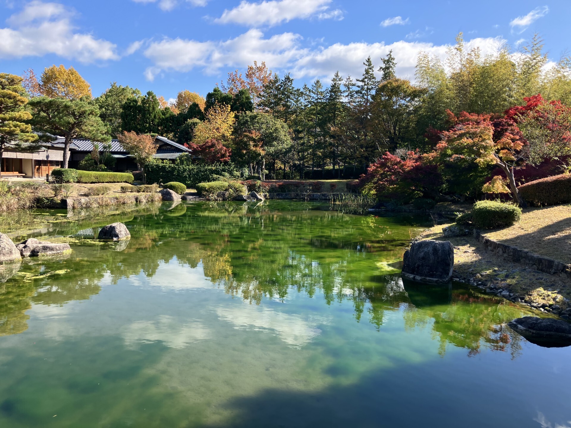 秋晴れの紅葉狩りを楽しみました　ニチイメゾン瀬田Ⅱ番館