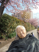 近隣で花見　住吉 1