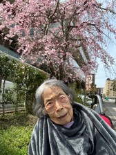 近隣で花見　住吉 4