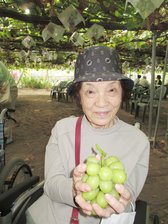 ぶどう狩り　ニチイホーム高幡不動