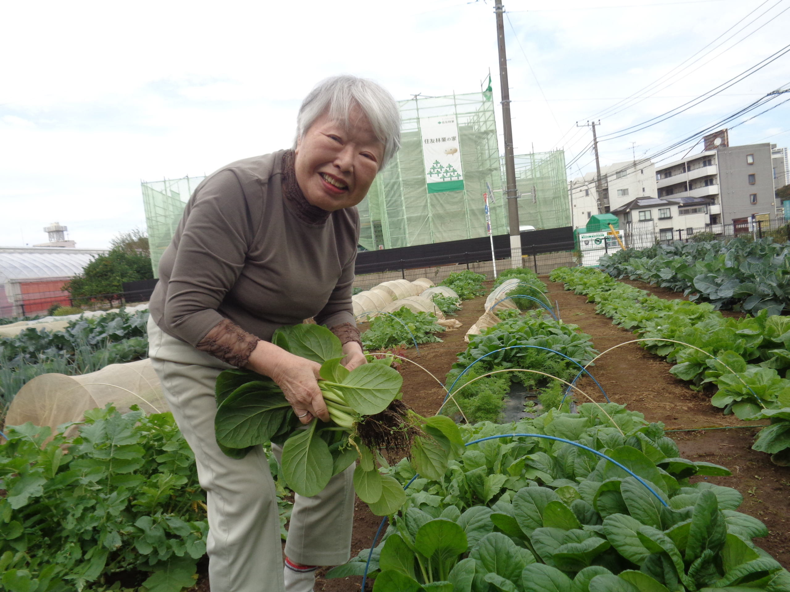 畑活動のご様子-1　ニチイホーム都立家政