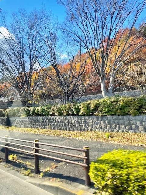 紅葉ドライブ-2　ニチイホームはるひ野Ⅱ番館