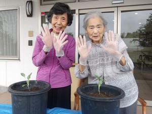 園芸活動　ニチイホーム東府中