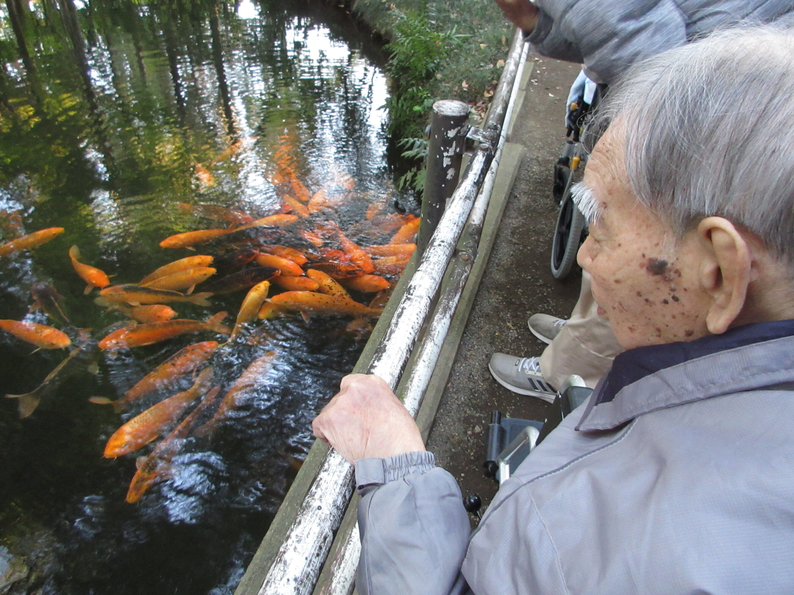 紅葉を紅葉を観に平林寺へ-2　ニチイホーム南大泉