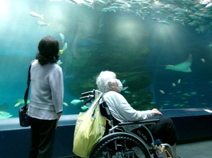 水族館と保育園の子供たち　ニチイホーム南大井