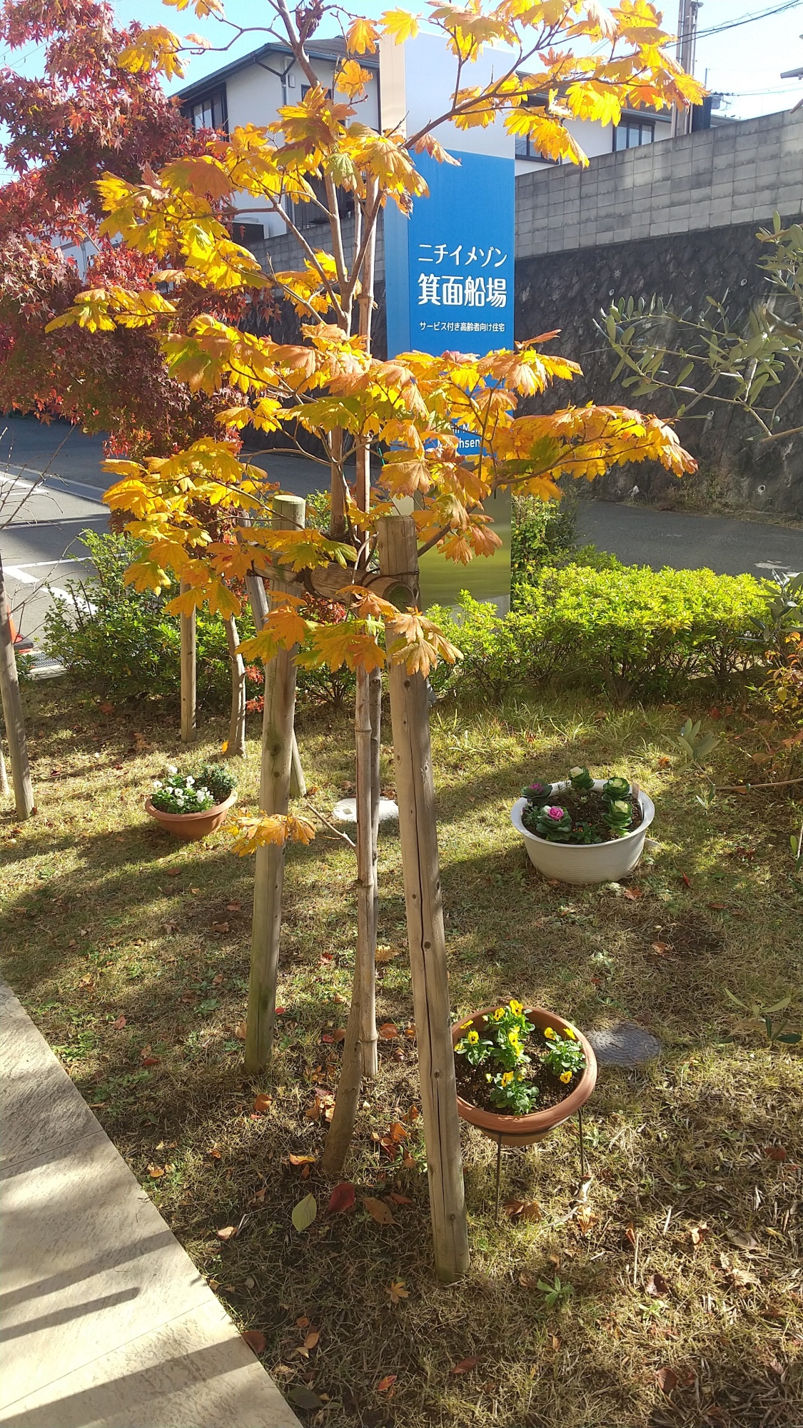 玄関前に彩りを添えて ～植栽の植え替え～　ニチイメゾン箕面船場