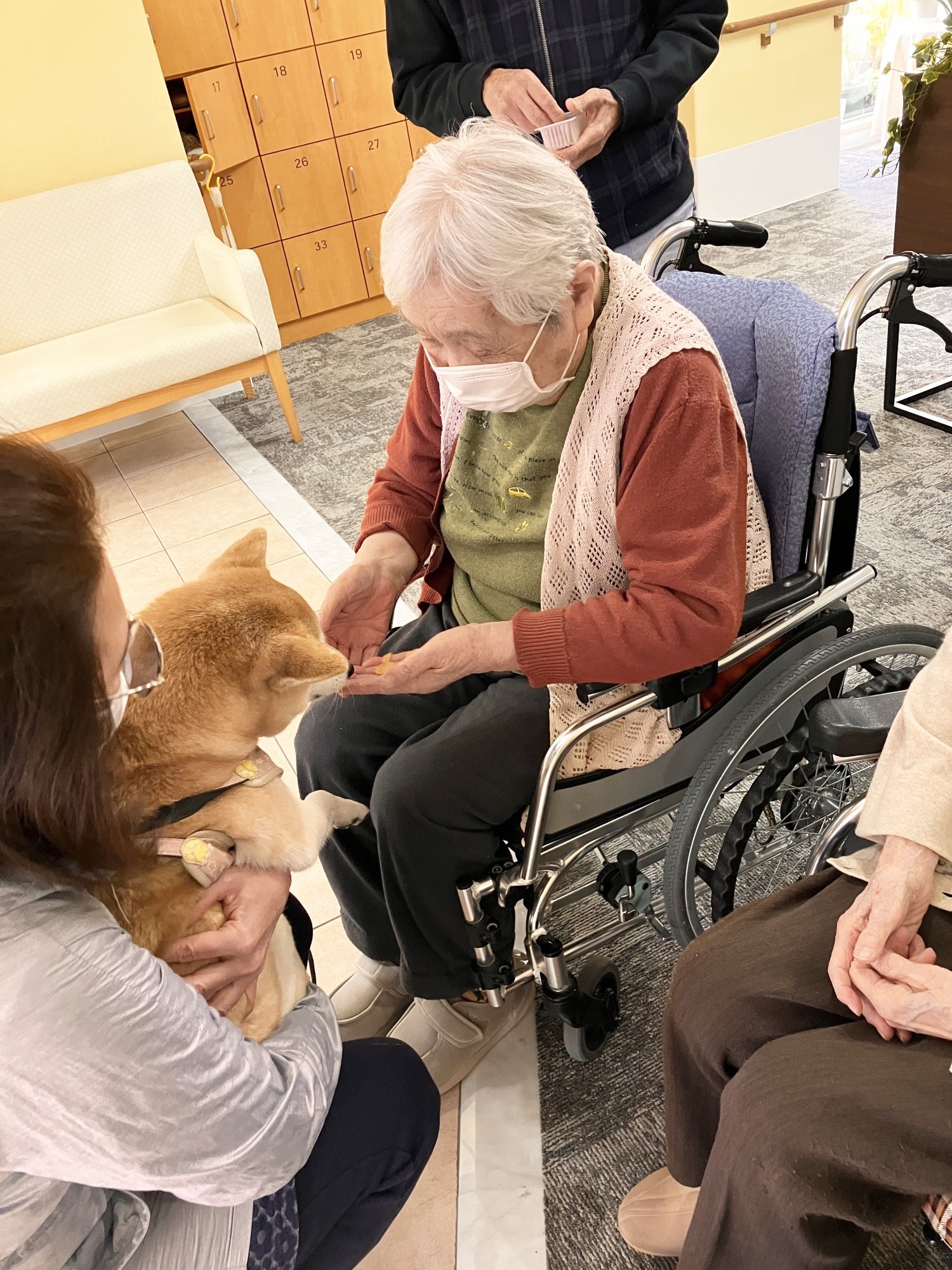 柴犬とのふれあい-3　ニチイホーム三鷹Ⅱ番館