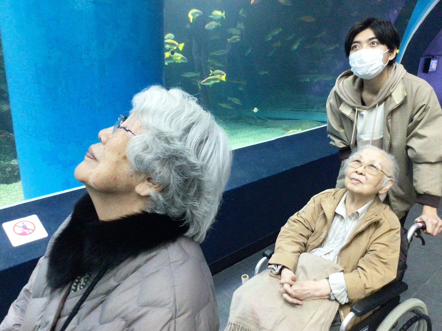 水族館-5　ニチイホーム鷺ノ宮