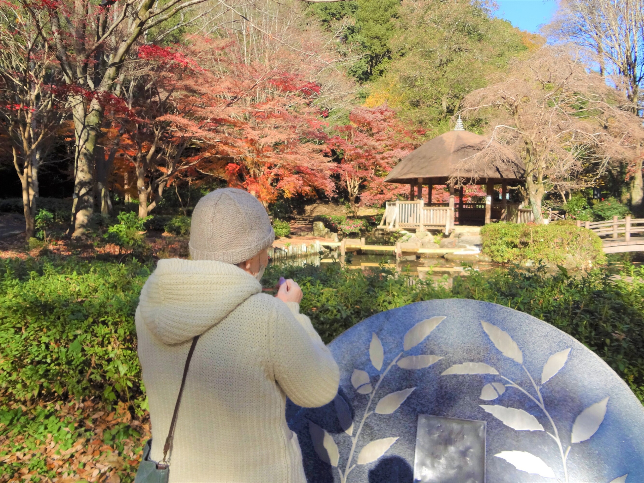 紅葉狩り-4　ニチイホーム鷺沼南