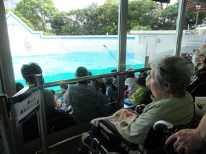 しながわ水族館　ニチイホーム矢口