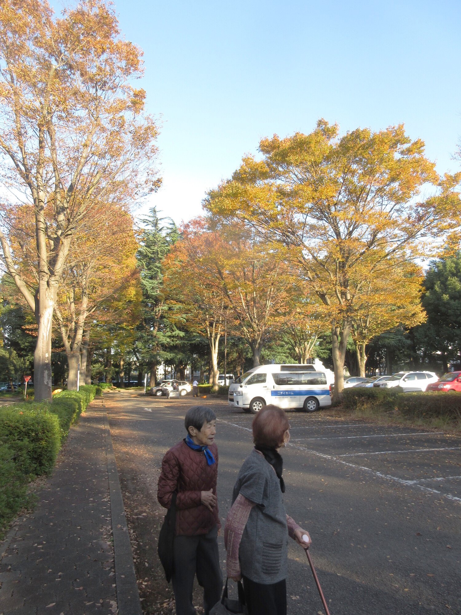 砧公園で紅葉散策-2　ニチイホーム用賀