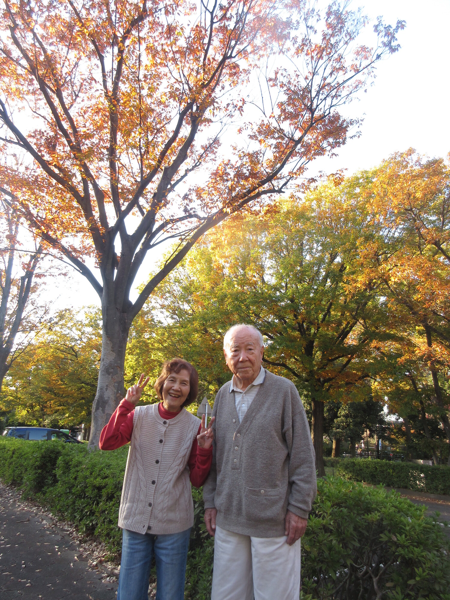 砧公園で紅葉散策-2　ニチイホーム用賀