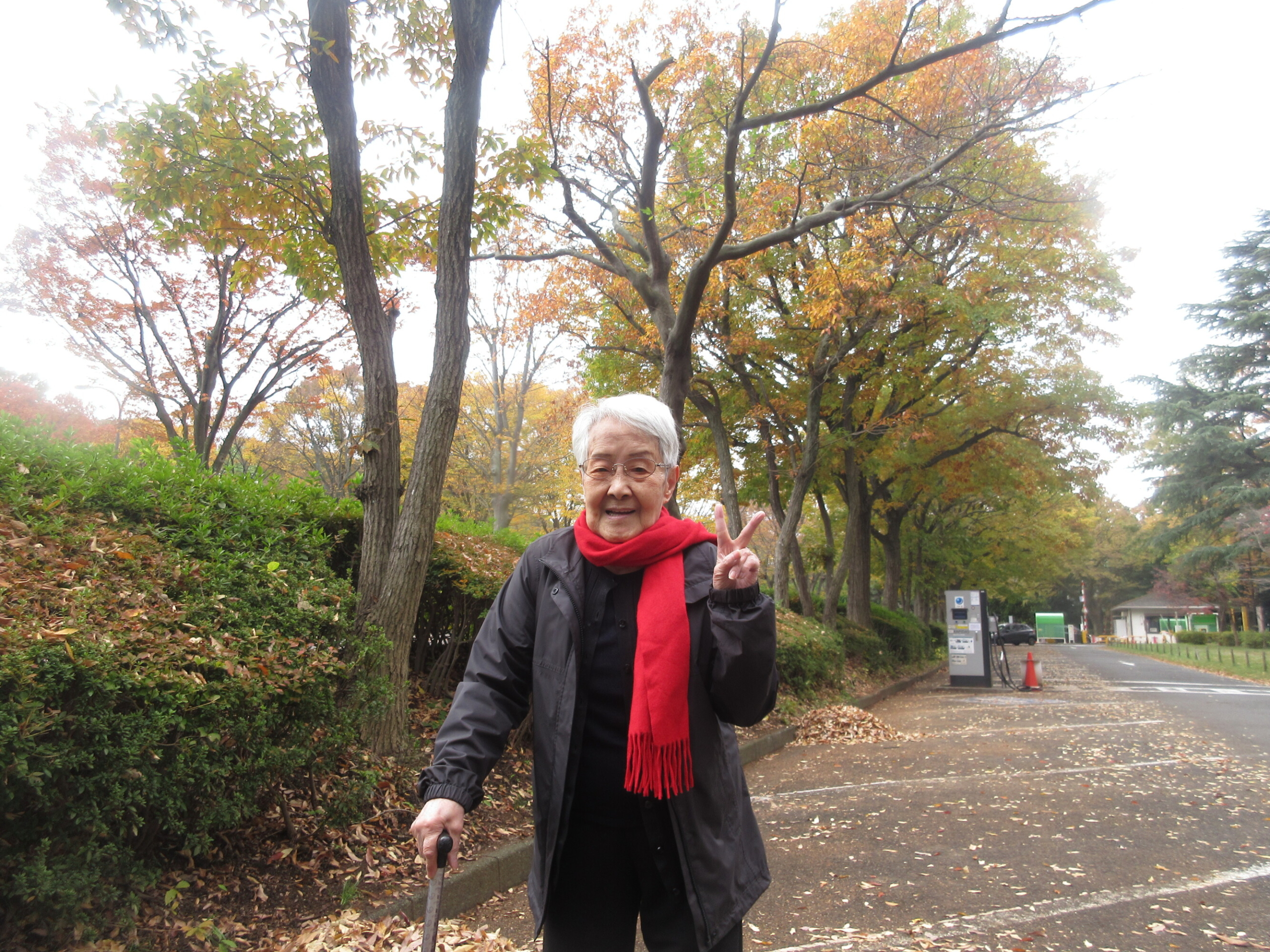 砧公園で紅葉散策-4　ニチイホーム用賀