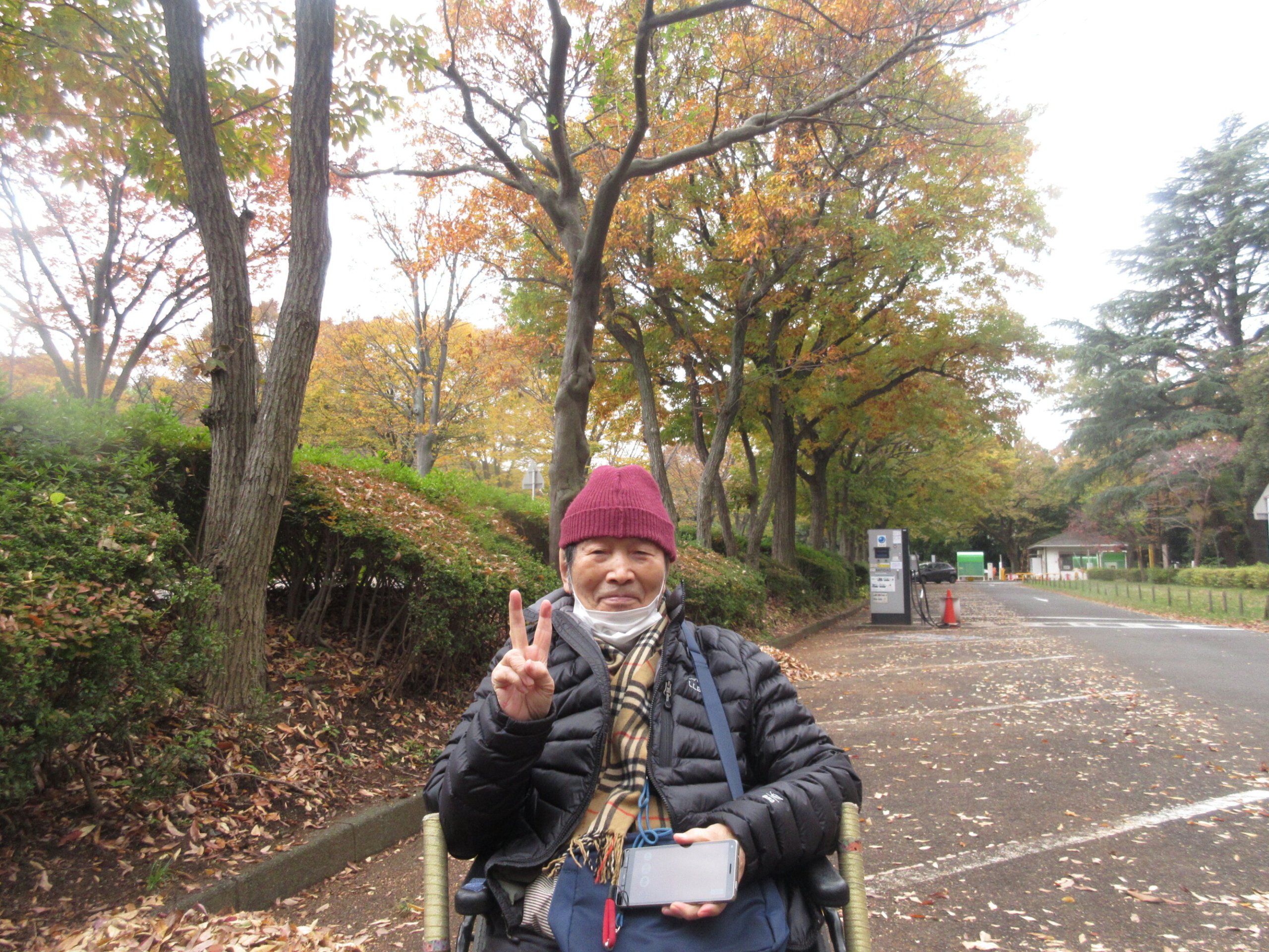 砧公園で紅葉散策-5　ニチイホーム用賀