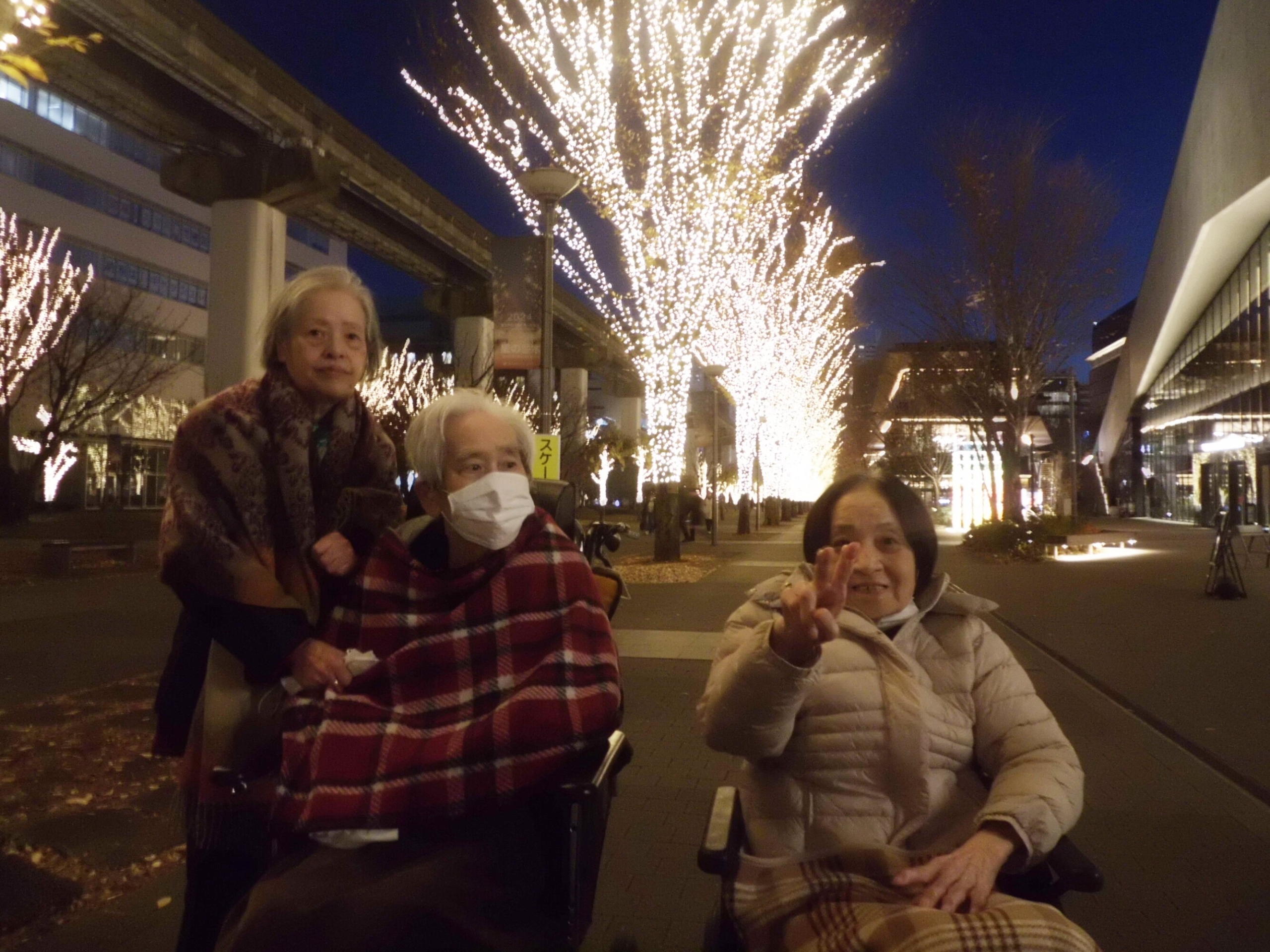 クリスマスイルミネーション-3　ニチイホーム昭島昭和の森