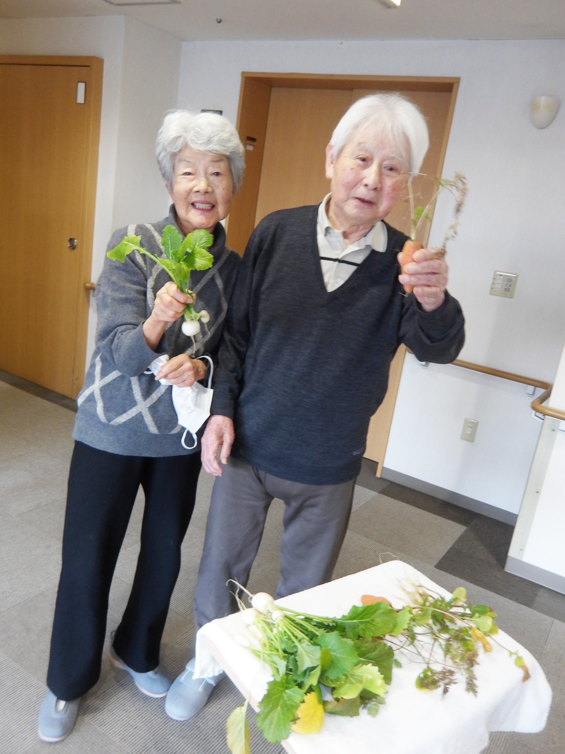 プランター野菜-5　ニチイホーム東府中