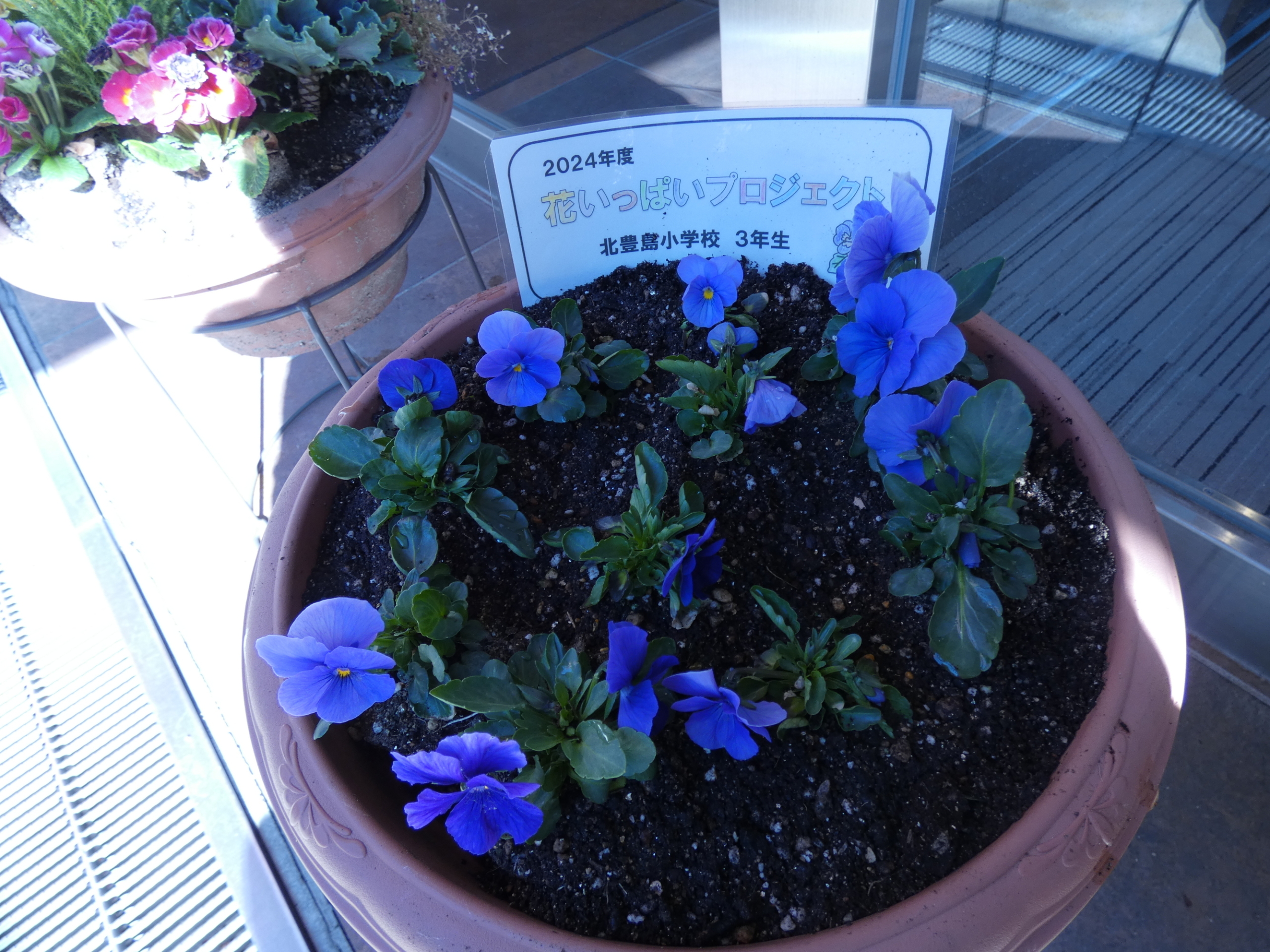 地区の小学校のイベント、花プロジェクトに参加してきました！　ニチイメゾン北豊島