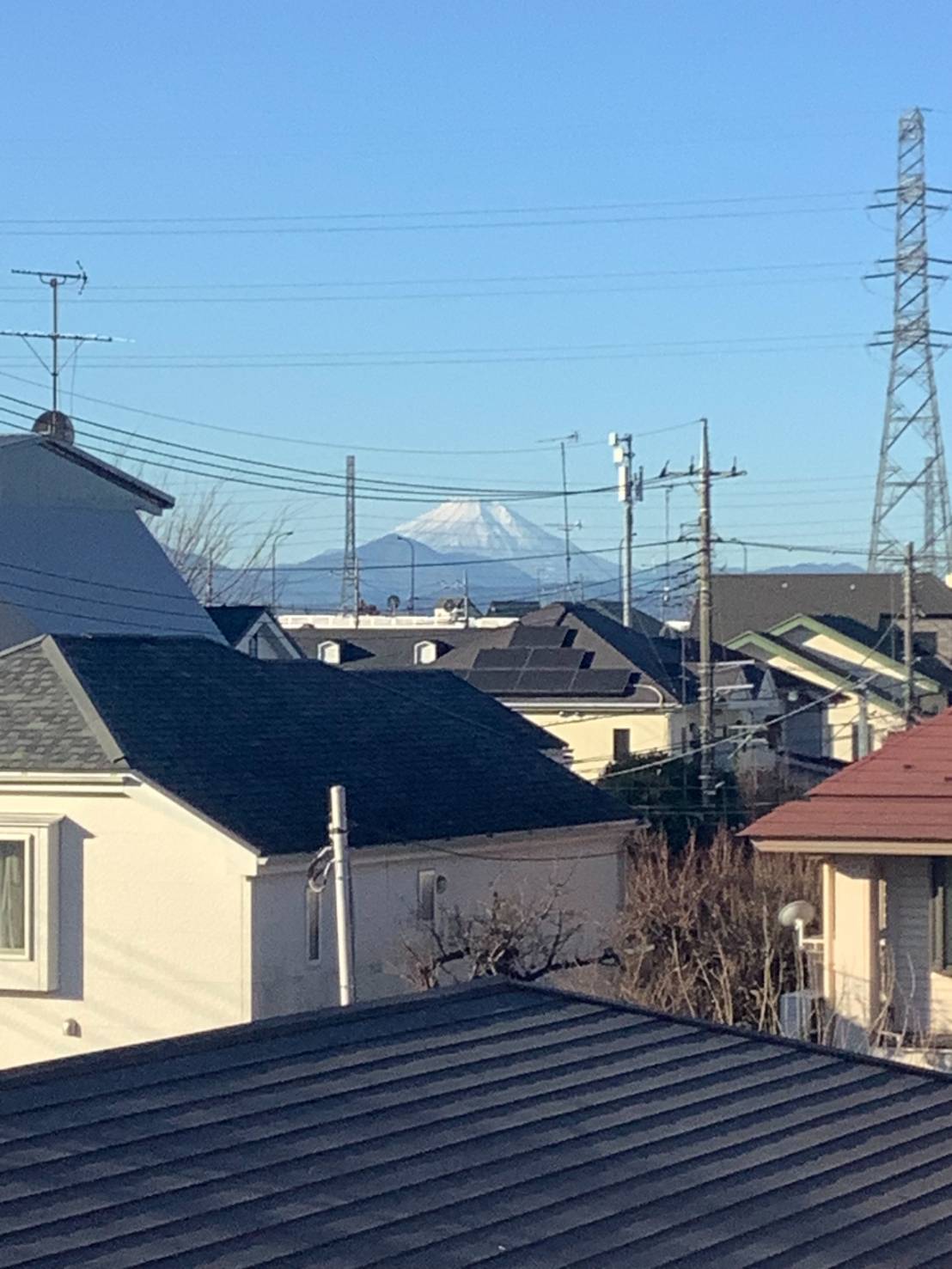 お正月の富士山-1　ニチイホーム西国分寺